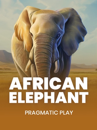 African Elephant
